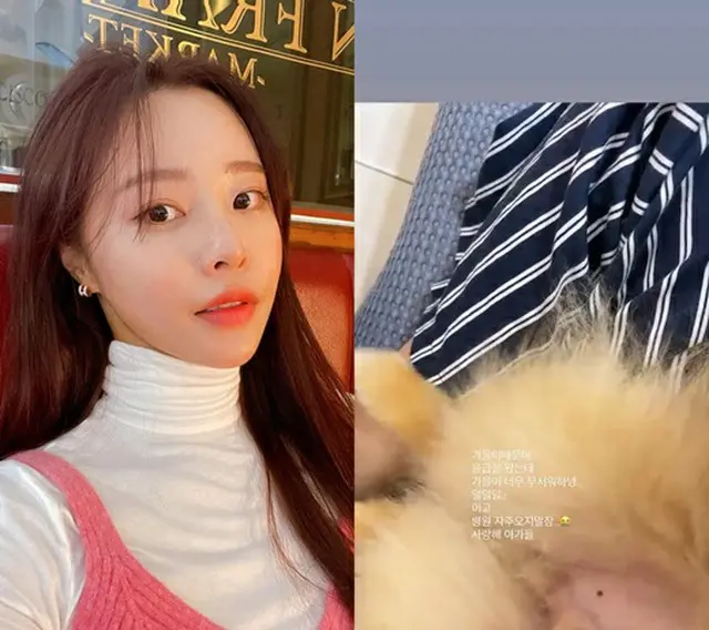 芸人パク・ソングァンの妻イ・ソリ、愛犬と救急病院へ… 「もう病院には行かないように、元気になろうね」（画像提供:wowkorea）