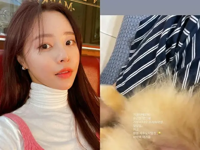 芸人パク・ソングァンの妻イ・ソリ、愛犬と救急病院へ… 「もう病院には行かないように、元気になろうね」（画像提供:wowkorea）