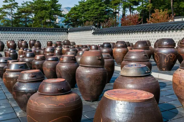 韓国・天安の教会で209人の集団感染、「集団キムチ作り」からのクラスターか（画像提供:wowkorea）
