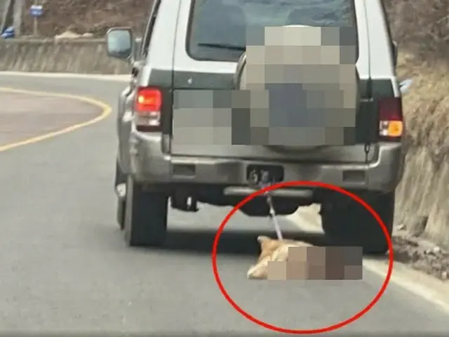 車で犬引きずった運転手に執行猶予付き判決、「犬に運動させようと…殺意はなかった」=韓国（画像提供:wowkorea）