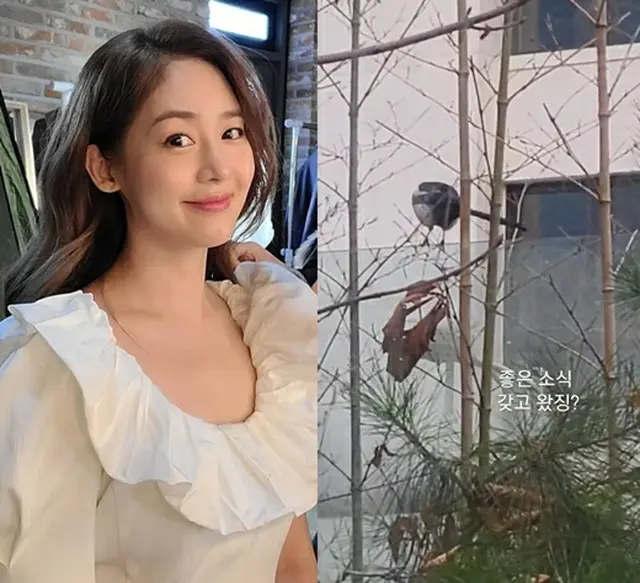 “双子妊娠”ソン・ユリ（Fin.K.L.）、縁起の良い鳥カササギを発見 「良い知らせを持って来てくれた？」（画像提供:wowkorea）