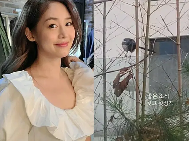 “双子妊娠”ソン・ユリ（Fin.K.L.）、縁起の良い鳥カササギを発見 「良い知らせを持って来てくれた？」（画像提供:wowkorea）