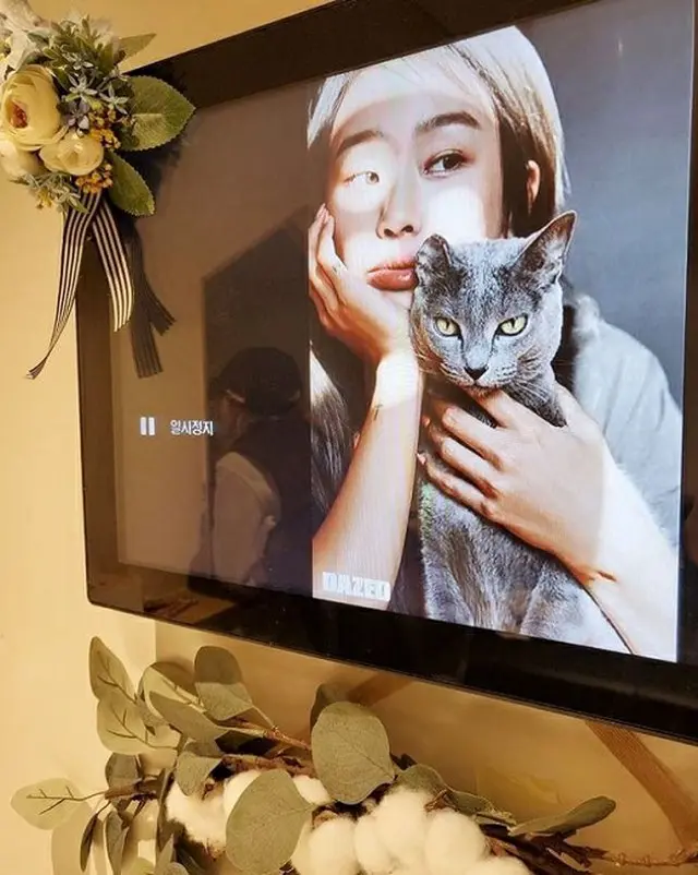 ヒョリン(元SISTAR)、愛猫リノが天国へ…「思いもよらない別れに、まだとてもつらい」（画像提供:wowkorea）