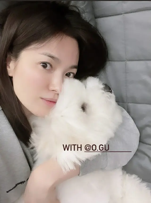 女優ソン・ヘギョ、41歳とは信じられないすっぴん（画像提供:wowkorea）