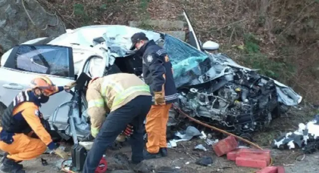 乗用車が街路樹に突っ込む事故...3人死亡・1人負傷＝韓国普州市（画像提供:wowkorea）