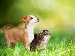 動物病院ごとに「千差万別」の診療費用、今後は事前に知ることが可能に＝韓国報道