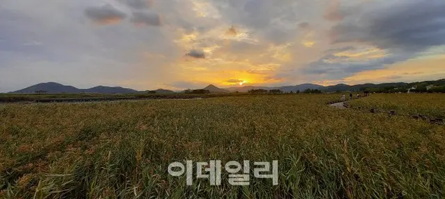 脱北者4人、難民の資格を得てアメリカへ入国（画像提供:wowkorea）