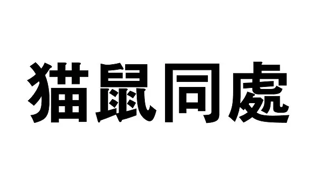 韓国の今年の四字熟語は「猫鼠同處…猫とネズミがグルになった」（画像提供:wowkorea）