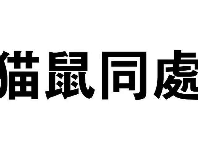 韓国の今年の四字熟語は「猫鼠同處…猫とネズミがグルになった」（画像提供:wowkorea）