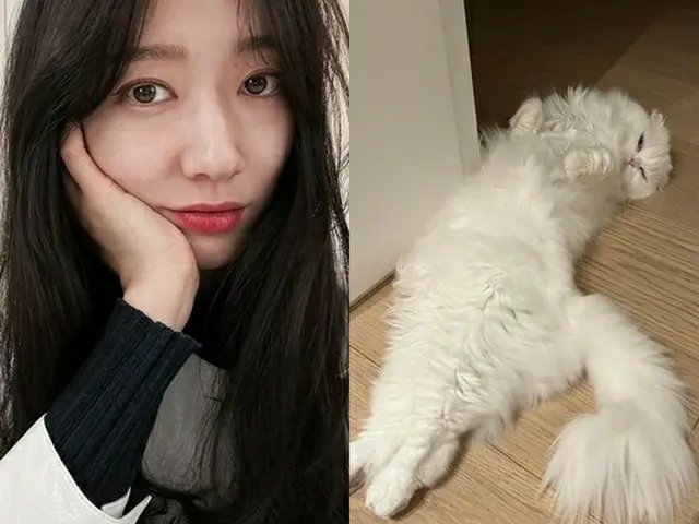 女優パク・シネ、妊娠中の近況を報告 「冬になるとやって来る”酔っ払い”の客」（画像提供:wowkorea）