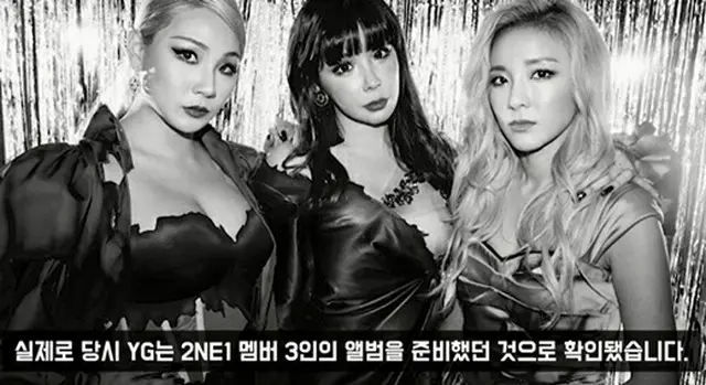 YouTuberのイ・ジンホがグループ「2NE1」の解散過程に改めてスポットを当てた。（画像提供:wowkorea）