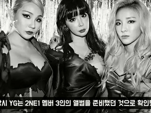 YouTuberのイ・ジンホがグループ「2NE1」の解散過程に改めてスポットを当てた。（画像提供:wowkorea）