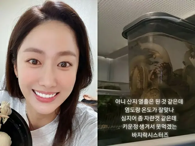 女優チョン・ヘビン、買ってきたアサリに“情”がわいて食べられない（画像提供:wowkorea）