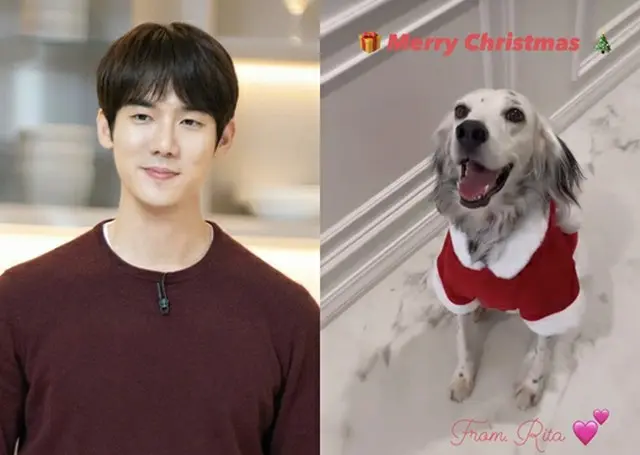 俳優ユ・ヨンソク、保護した犬と過ごす初めてのクリスマス…愛犬は「おめかし」（画像提供:wowkorea）