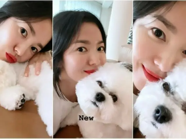 「SBS演技大賞」に不参加だった女優ソン・ヘギョ、愛犬とともに新年のあいさつ…共演者へ受賞祝福コメントも（画像提供:wowkorea）