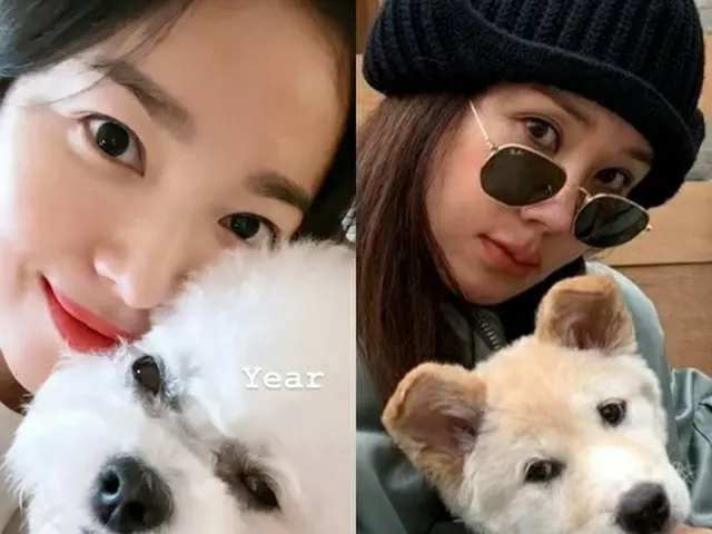 女優ソン・ヘギョ、歌手オム・ジョンファとこんなに親しかったの？真夜中の愛犬散歩（画像提供:wowkorea）