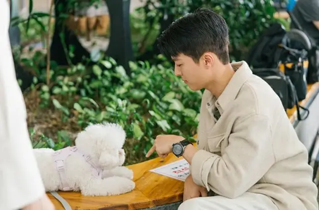 俳優チャン・ギヨン、撮影現場に現れたソン・ヘギョの愛犬にメロメロ（画像提供:wowkorea）