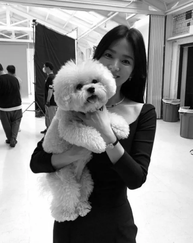 女優ソン・ヘギョ、自身の美貌のごとく華やかな花のプレゼントに感謝の投稿…主演ドラマ「今、別れの途中です」が終了（画像提供:wowkorea）