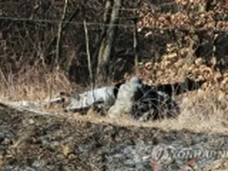 韓国で戦闘機墜落　操縦士の安否「確認中」