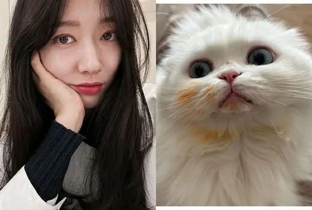 妊娠中の女優パク・シネが近況を伝えた。（画像提供:wowkorea）