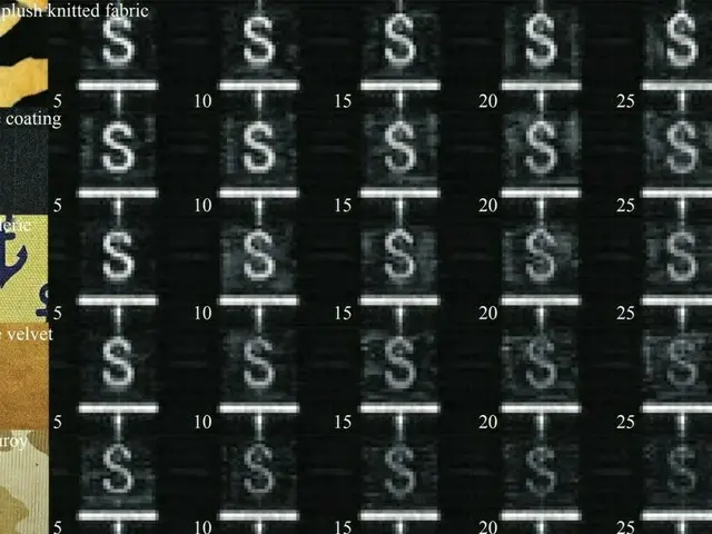 中国、下着の商標まで見える超高解像度全身スキャナを開発＝韓国報道（画像提供:wowkorea）