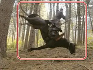 動物保護団体、「太宗 イ・バンウォン」の動物虐待疑惑シーン公開…「馬にワイヤー」