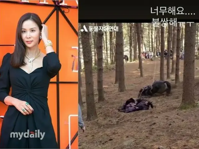 女優コ・ソヨンも“涙”、大河ドラマ「太宗 イ・バンウォン」の馬虐待…「あんまりだ、かわいそう」（画像提供:wowkorea）