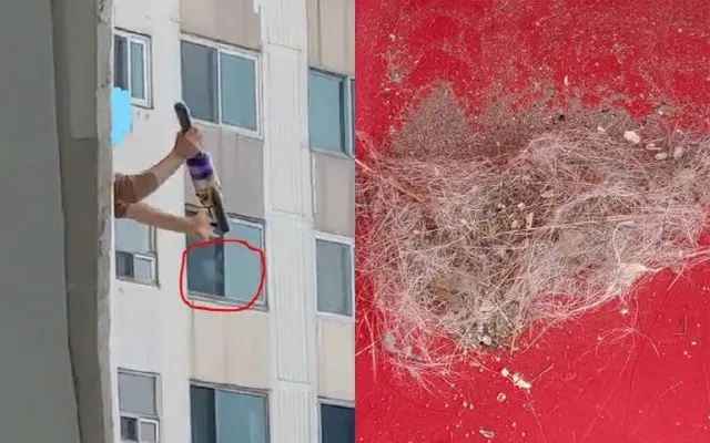 マンションの上階から「ほこりを捨てる」行為…“逆ギレ”住人に「解決策なし」＝韓国（画像提供:wowkorea）