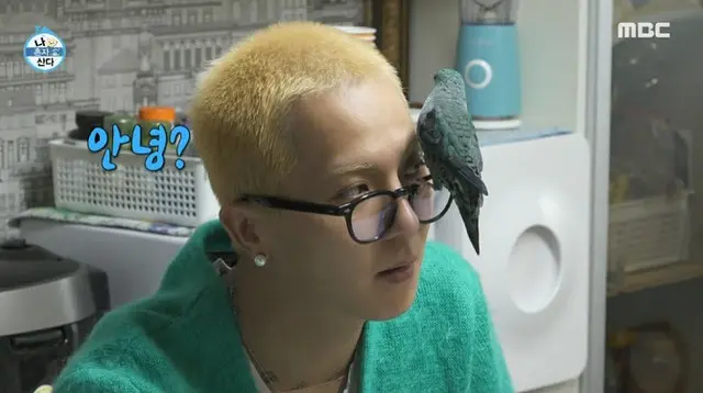ソン・ミンホ「絶滅危惧種のインコ、国の許可をもらって育ててる」（画像提供:wowkorea）