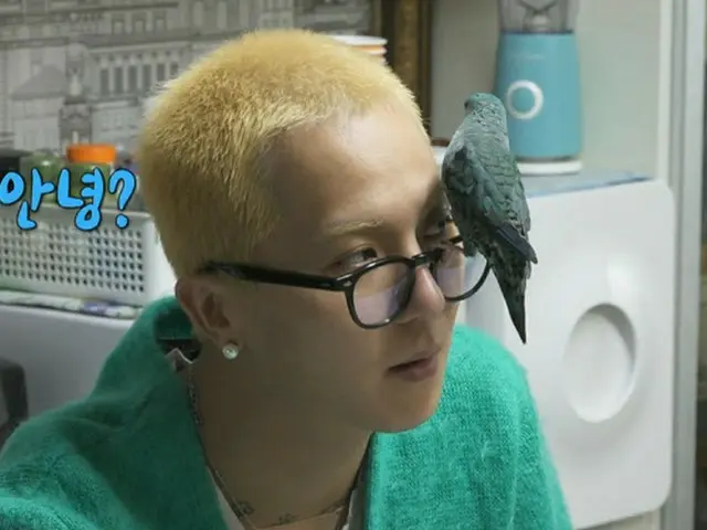 ソン・ミンホ「絶滅危惧種のインコ、国の許可をもらって育ててる」(画像提供:wowkorea)