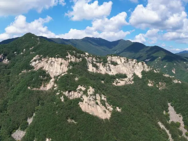 春川で山火事...ヘリコプター動員して2時間後に鎮火＝韓国（画像提供:wowkorea、画像は本文と関係ありません）