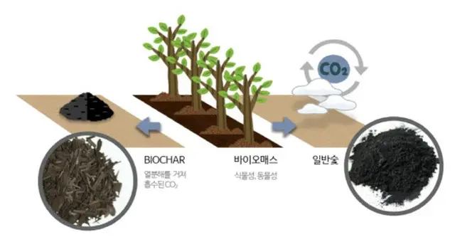 地球環境改善物質として注目を集めるバイオ炭…土壌の酸性化を防ぎ、廃プラスチックまで分解＝韓国報道（画像提供:wowkorea）