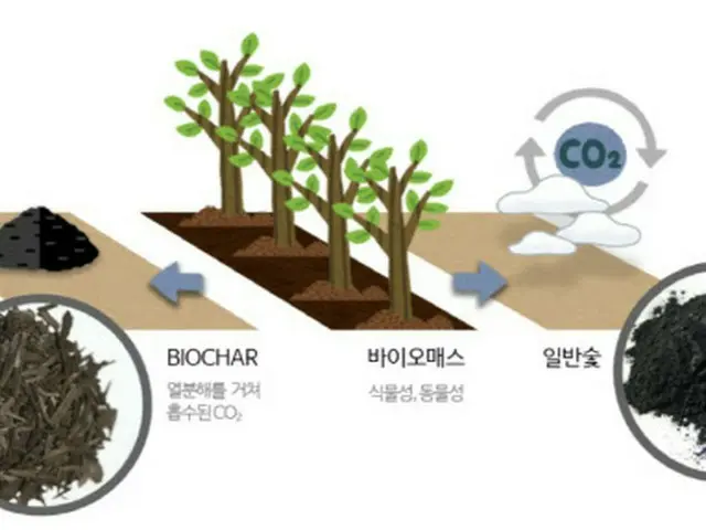 地球環境改善物質として注目を集めるバイオ炭…土壌の酸性化を防ぎ、廃プラスチックまで分解＝韓国報道（画像提供:wowkorea）