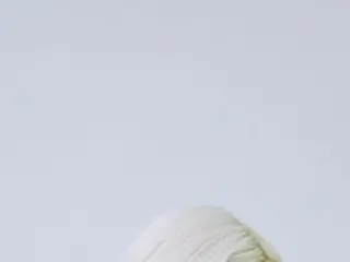 BOM(元2NE1）、「サム、マイウェイ」OST 最初のランナーに…2月8日「あなたは私の鏡」リリース
