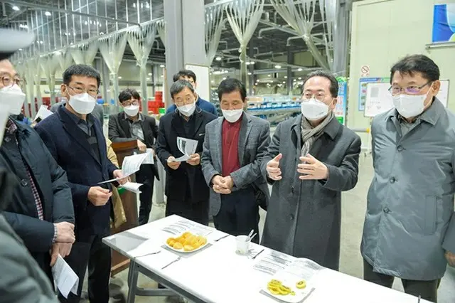 GAP認証の順天産キウイ、日本に初輸出＝韓国（画像提供:wowkorea）