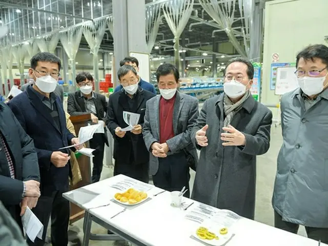 GAP認証の順天産キウイ、日本に初輸出＝韓国（画像提供:wowkorea）