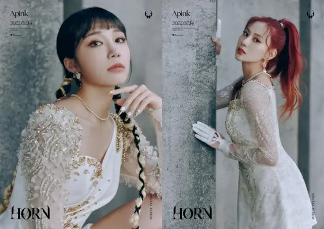 【公式】「Apink」ウンジとハヨン、新型コロナに感染＝スケジュール変更の可能性（画像提供:wowkorea）