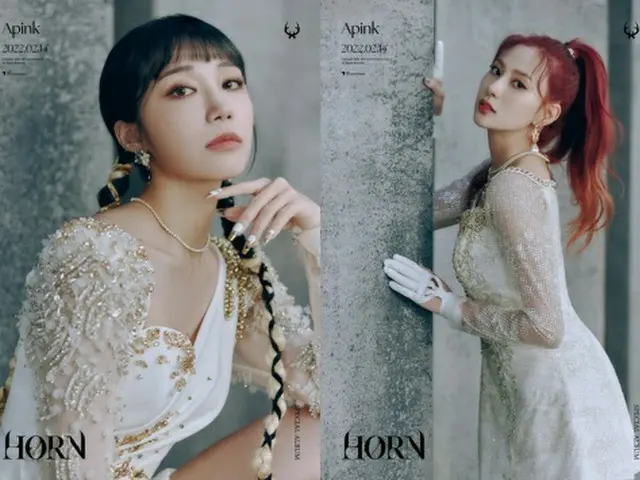 【公式】「Apink」ウンジとハヨン、新型コロナに感染=スケジュール変更の可能性(画像提供:wowkorea)