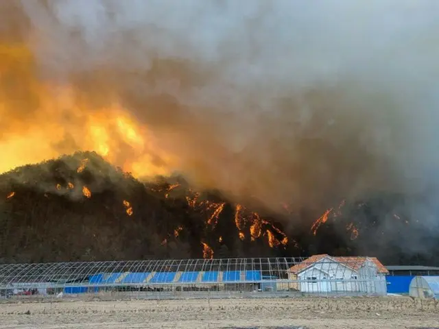 韓国東部で大規模な山火事…近くに原子力発電所も（画像提供:wowkorea）