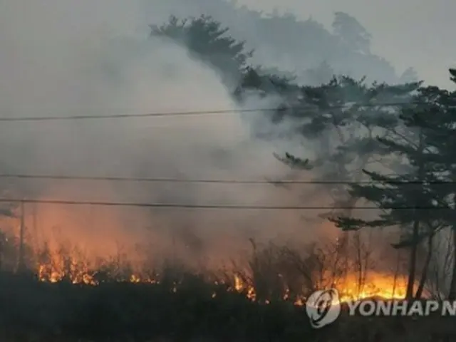 炎が広がる江原道三陟市の山林＝７日、三陟（聯合ニュース）