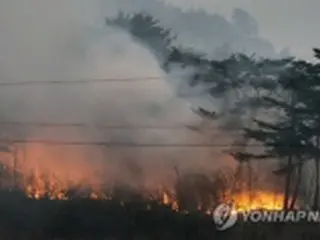韓国東部の大規模山火事　被害面積１万６千ヘクタール超