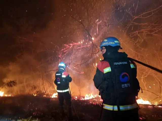大規模山火事、被害面積は「1万6000ヘクタール」超…強風特報解除で鎮火に総力＝韓国（画像提供:wowkorea）
