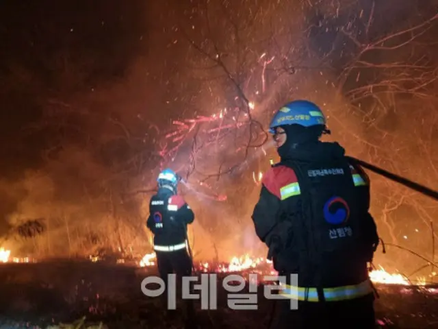 蔚珍・三陟など山火事被害の緊急救護で6,000万ウォン支援＝韓国大田市（画像提供:wowkorea）