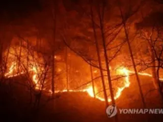 韓国東部の大規模山火事　過去最大の被害に迫る勢い