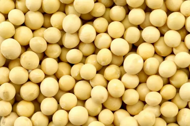 2022年産の大豆・小豆など豆類の備蓄計画を発表＝韓国政府（画像提供:wowkorea）