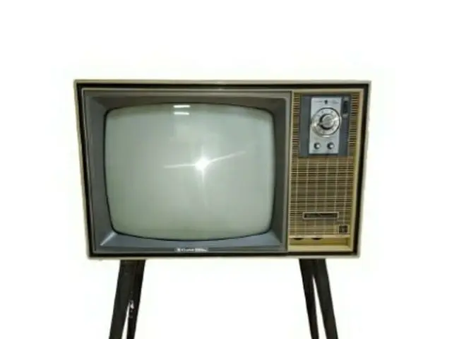 レトロ　ブラウン菅テレビ【スケルトン】14型　希少　韓国　匿名配送　レア レトロ ブラウン菅テレビ【スケルトン】14型 希少 韓国 匿名配送