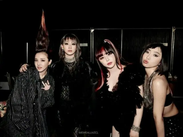 「2NE1」が7年ぶりにアメリカの音楽フェスで再結集…「4個のパズルがやっとハマった」（画像提供:wowkorea）