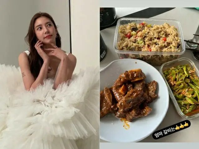 結婚を控えたソン・ダムビ、挙式前のダイエットも忘れさせる“ママのご飯”（画像提供:wowkorea）