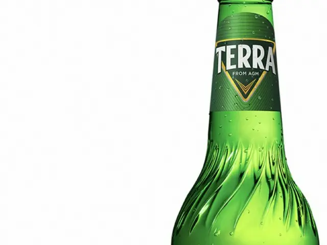 ハイト眞露のビール「TERRA」、販売量が新型コロナ拡散前の水準に回復＝韓国（画像提供:wowkorea）