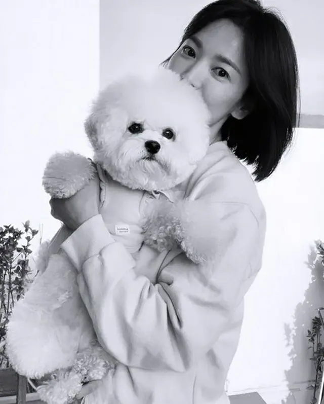 女優ソン・ヘギョ、愛情いっぱいのまなざし…愛犬との近況を公開（画像提供:wowkorea）